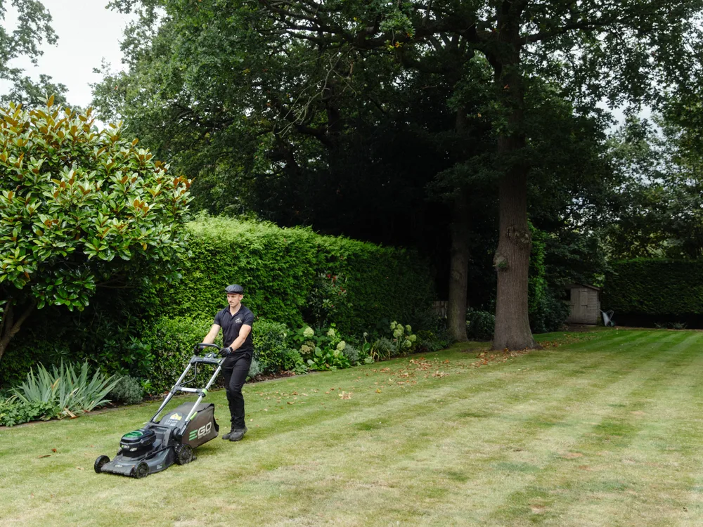 Lawn mowing, recent work 2