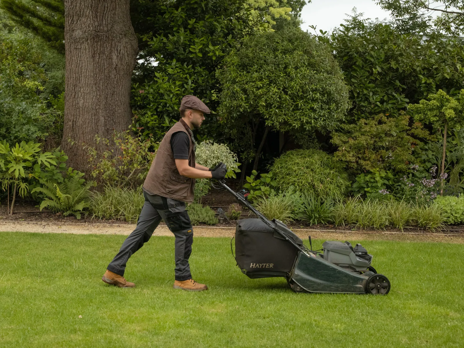 Lawn mowing, recent work 3
