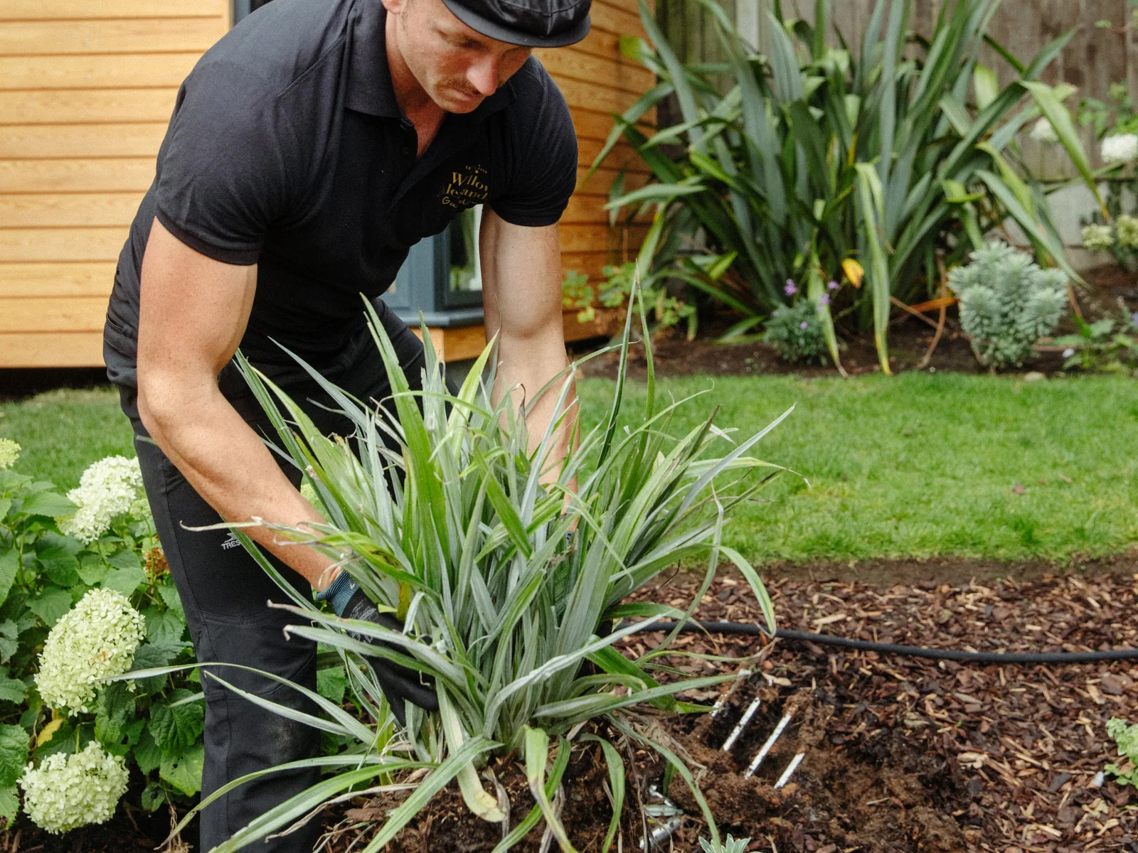 Planting, recent work 1