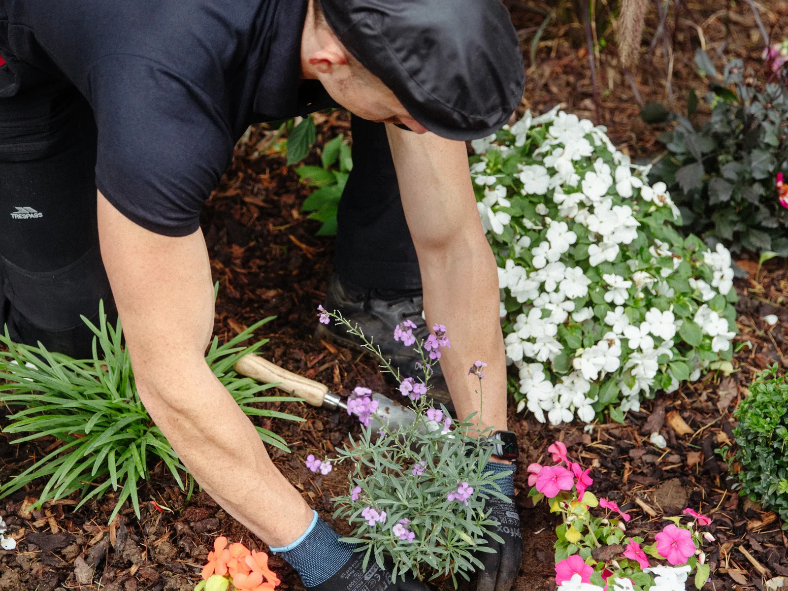 Planting, recent work 3