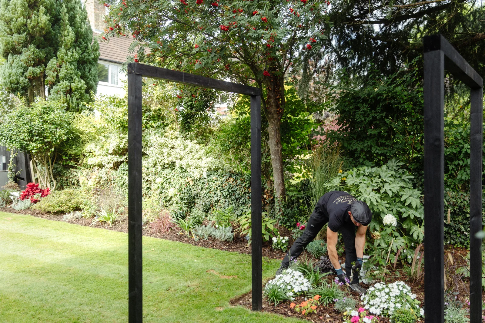 Planting