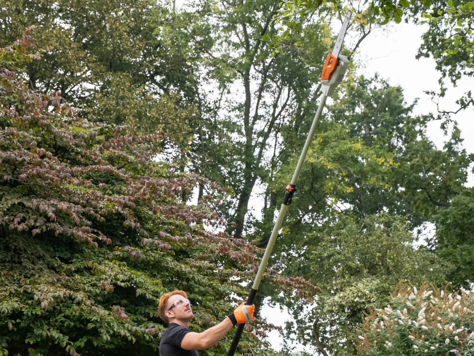 Tree work, recent work 2