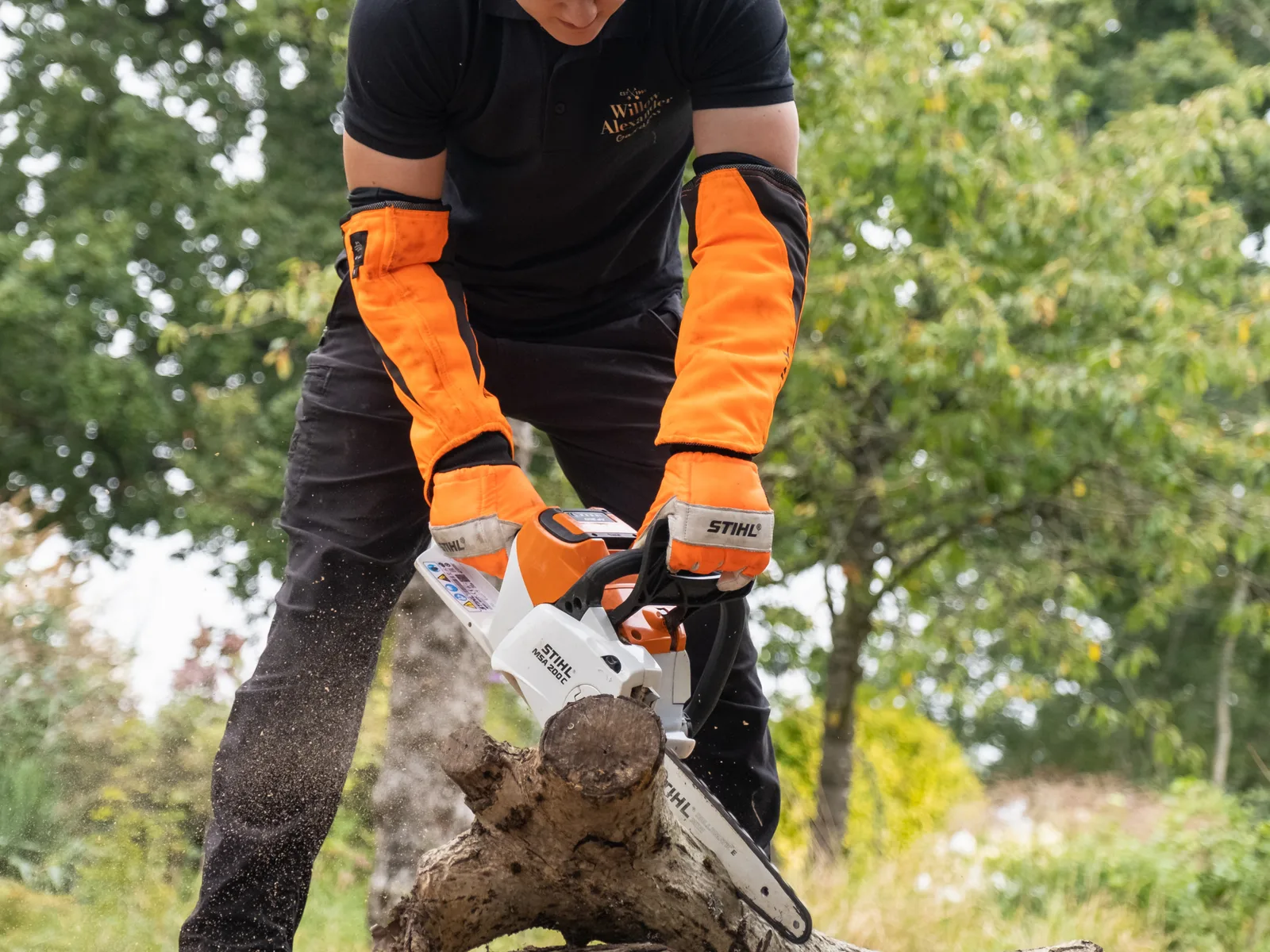 Tree work, recent work 3