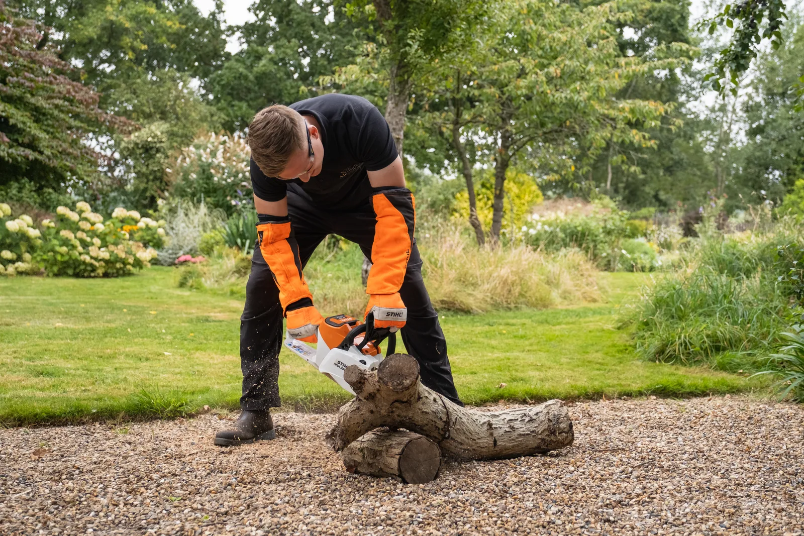 Tree work