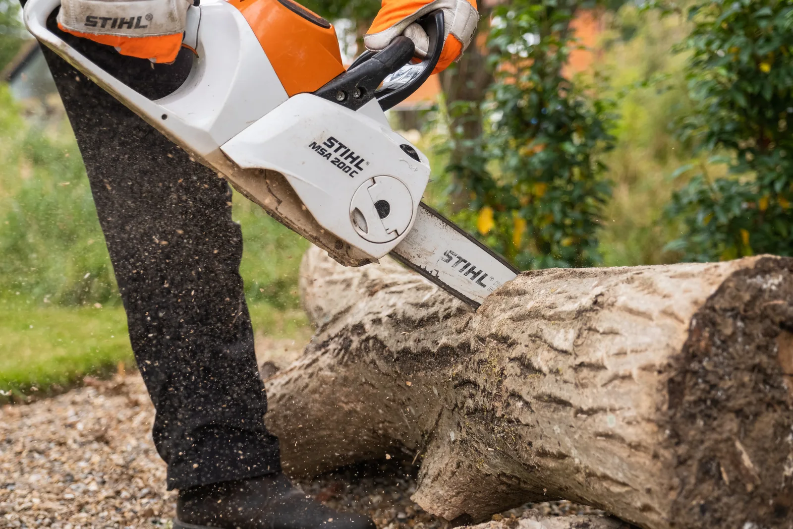Tree work — our team at work