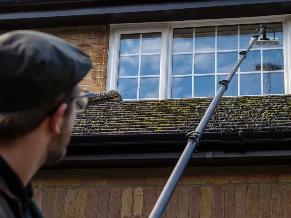 Regular window cleaning, recent work 3