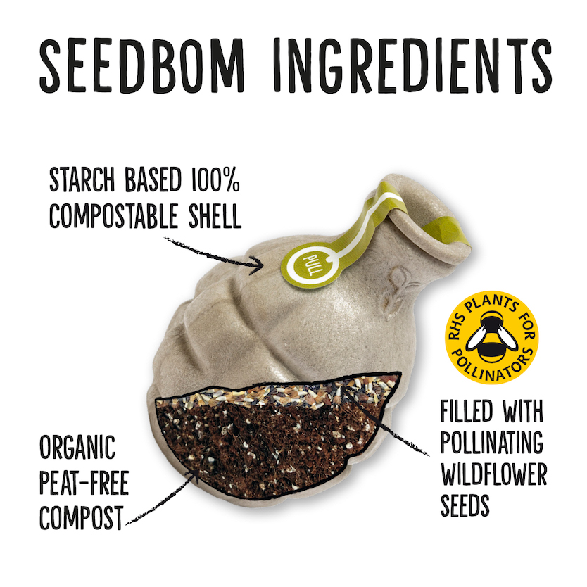 Kabloom – Pollinator Beebom Seedbom