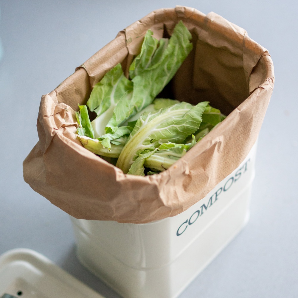 25 Compostable Paper Food Waste Bags